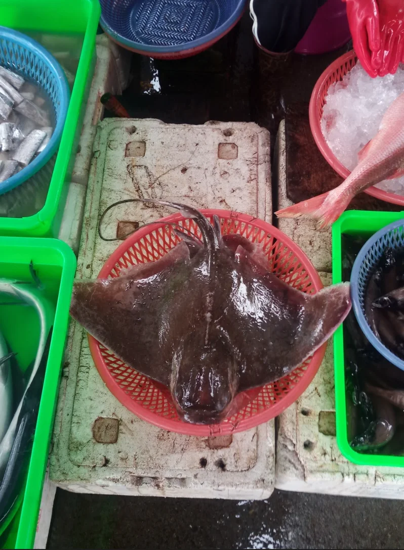 とびえい